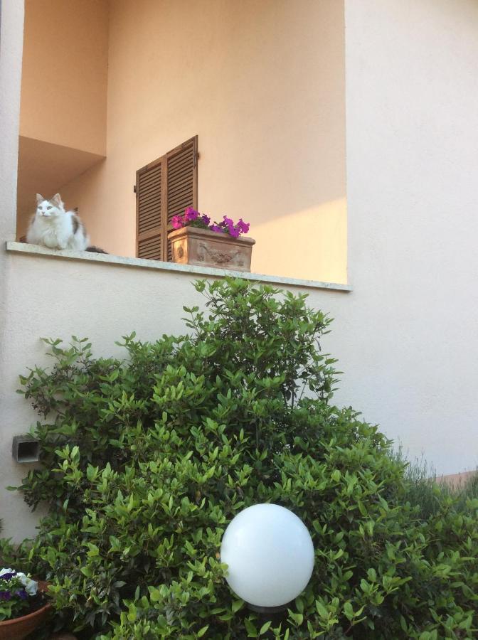 B&B Il Frassino Perugia Buitenkant foto