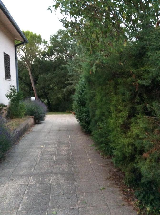 B&B Il Frassino Perugia Buitenkant foto