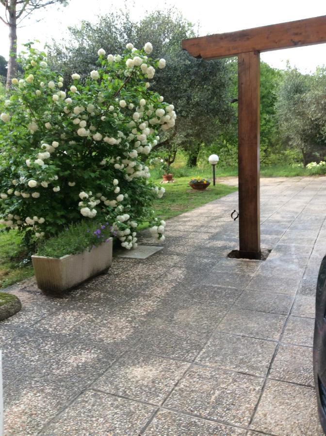 B&B Il Frassino Perugia Buitenkant foto